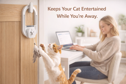 Velori Interactive Cat Teaser Toy